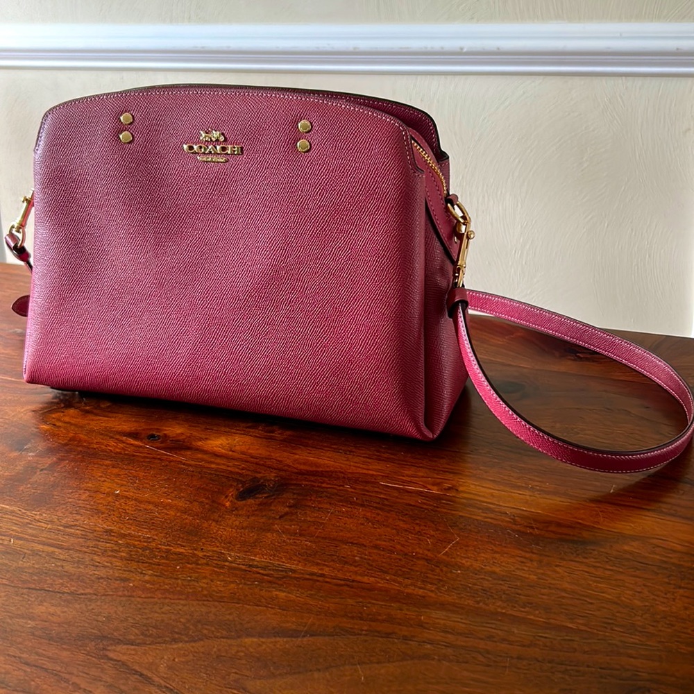 Coach Lillie Carryall